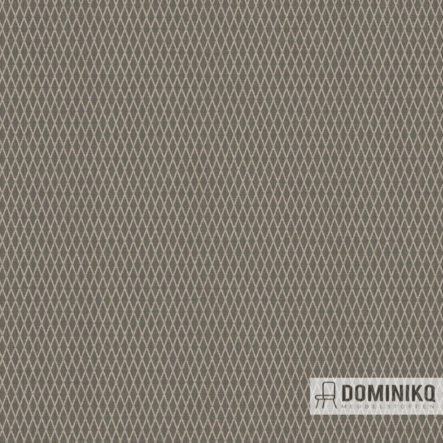 Aristide - Carpet Opuntia - 170 Pewter