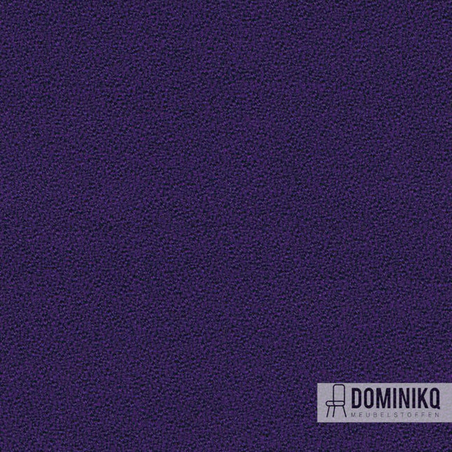 Camira - Aquarius - JA157 - Purple