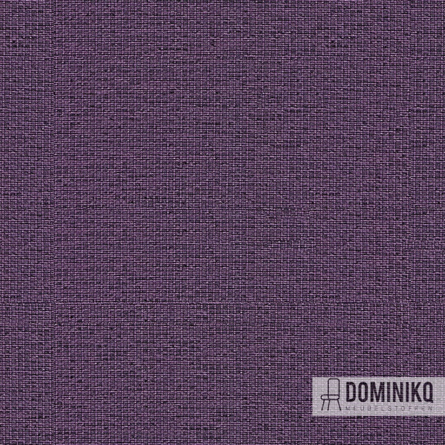 Camira - Gravity - CPC02 - Lavendel