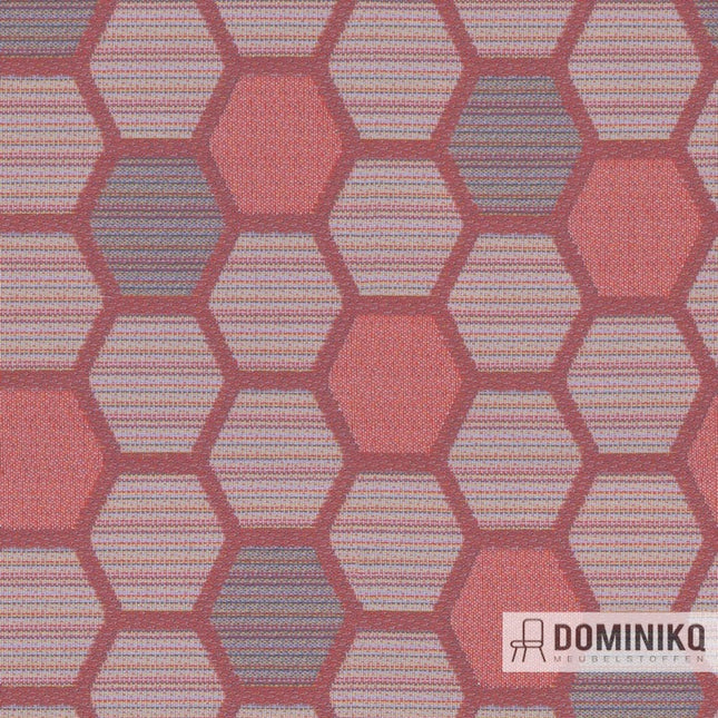 Camira – Honeycomb – HUH09 – Königin